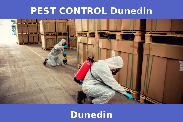 PEST CONTROL Dunedin